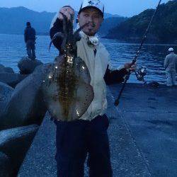 高浜でエギング、中層攻めで良型アオリイカをキャッチ！