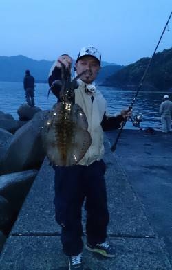 高浜でエギング、中層攻めで良型アオリイカを…