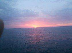 犬ヶ崎でエギング、アオリイカ釣れました！