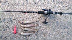 南塩谷　ちょい投げのランガンでキス狙い　エアシンカー使用