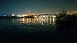 灘浜にてエギングでコウイカ〜表層までイカが浮いてきてました