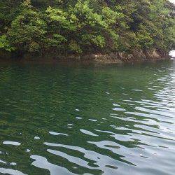 ＧＷ最終日〜水温低下で渋めでしたが淡路島のキス釣りに満足！