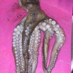 ＧＷ最終日〜水温低下で渋めでしたが淡路島のキス釣りに満足！