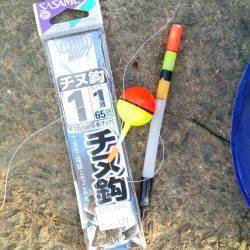 淀川でウキ釣り〜テトラの穴に仕掛けを入れるとカワアナゴ