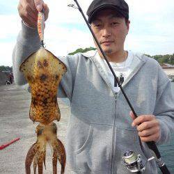 一本松漁港でエギング、夕方に１枚ヒット！