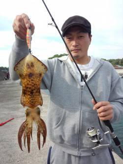 一本松漁港でエギング、夕方に１枚ヒット！