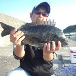 朝マヅメに紀州釣りでチヌがヒット！！