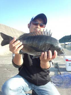 朝マヅメに紀州釣りでチヌがヒット！！