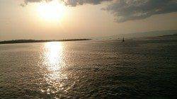 泉大津周辺のシーバス釣果です