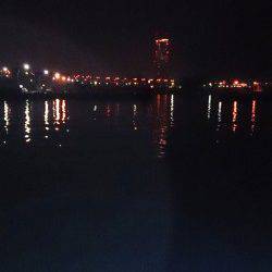 佐野漁港　夜9時からのメバリングも今日は渋めの釣果