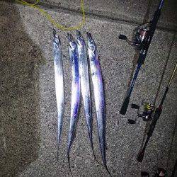 佐野　1年振りの春タチウオにテンションMAX★