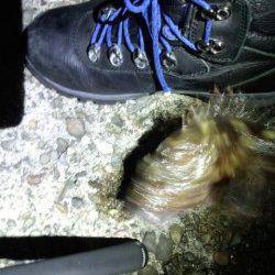 古茂江 ボトムワインドでボテボテのガシラ28cmにメバルの釣果