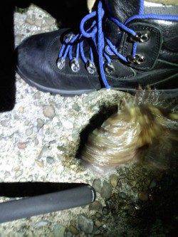 古茂江 ボトムワインドでボテボテのガシラ28cmにメバルの釣果