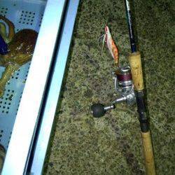 明石港タコ釣果〜タコエギに派手目のタコベイトでアピール度UP！