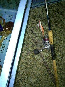 明石港タコ釣果〜タコエギに派手目のタコベイトでアピール度UP！