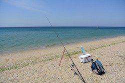 淡路島南部の慶野松原で投げ釣り、キスの釣果で新しい竿に入魂