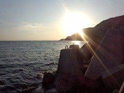 朝マヅメ狙いの短時間エギング釣行〜千田漁港にてコウイカ