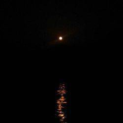 久美浜　大潮満月のエギング釣行