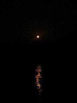 久美浜　大潮満月のエギング釣行