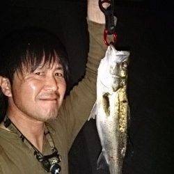 岸和田貯木場でのシーバスゲーム！