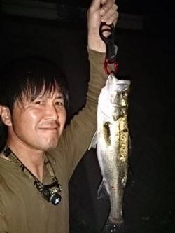 岸和田貯木場でのシーバスゲーム！