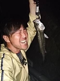 バチシーバス狙いで淀川へ〜30分の短い時合…