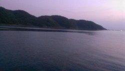 日高町エギングでのアオリ釣果、シモリ周りにいました