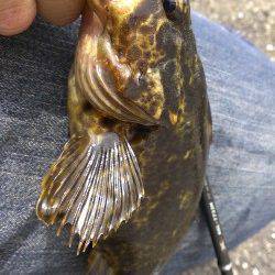 朝一番散歩のついでのフィッシング♪〜ルアーでタケノコメバル　