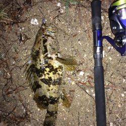 天橋立ルアーでシーバス・タケノコメバル・マゴチ〜5バイト3キャッチ