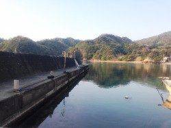 久美浜の蒲井にてエギング〜アオリイカ胴長30cmをゲット！