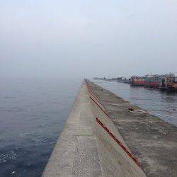 １番船から武庫川尻一文字へ〜ジグでマサバ&ゴマサバ