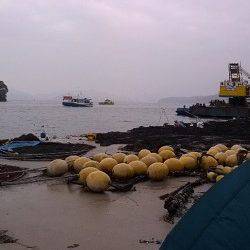 マダイ狙いで伊根方面に釣行、釣果はアコウ・ガシラ・キス・アジなど