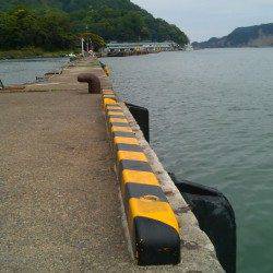 津居山漁港で投げ釣り〜キスとコノシロの釣果でした