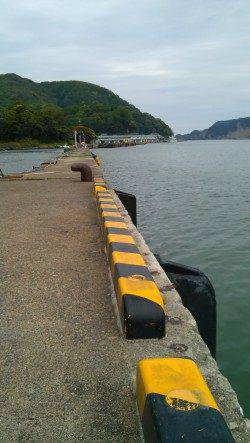 津居山漁港で投げ釣り〜キスとコノシロの釣果でした