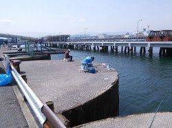 泉佐野 食品コンビナート　サビキでイワシ、探り釣りでメバル・アブシン