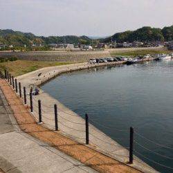 芳養漁港でルアーフィッシング、内向きではイワシ入れ食いでした