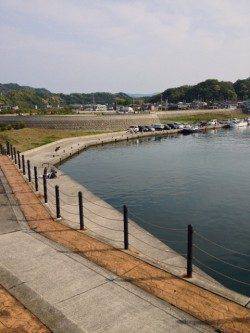 芳養漁港でルアーフィッシング、内向きではイワシ入れ食いでした