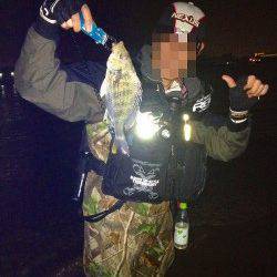 南芦屋浜シーバスのついでにチニング〜キビレのバイトが数回