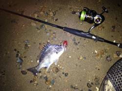 河口沿いのサーフエリアでウェーディング〜活…