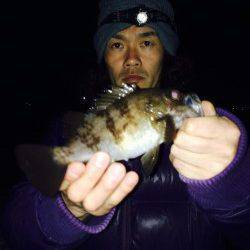 りんくうでのメバリング、大潮の満潮後に釣行