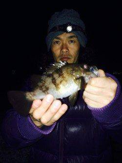 りんくうでのメバリング、大潮の満潮後に釣行