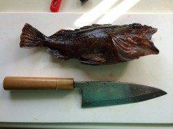 ソルトルアーのみで日本海にGO！ 三尾でガシラ&香住東港でアジ