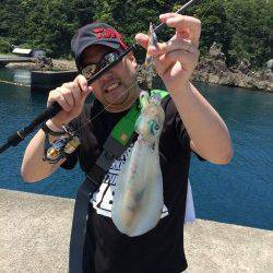 串本・大島でエギング〜チェイスしてきたアオリをサイトで。