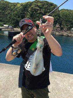 串本・大島でエギング〜チェイスしてきたアオリをサイトで。