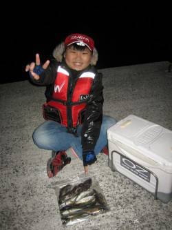 加太漁港　メバリングでアジ＆メバルの満足釣…