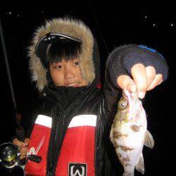 強風の加太漁港でアジング〜アジ・メバルが釣れました