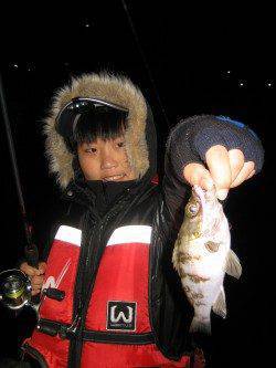 強風の加太漁港でアジング〜アジ・メバルが釣れました