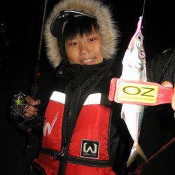 強風の加太漁港でアジング〜アジ・メバルが釣れました