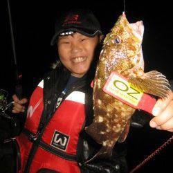 淡路島・船瀬でメバリング、メバルは不在でしたがガシラがヒット