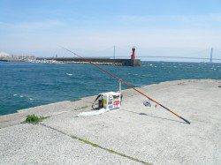 明石港へ前回の石ゴカイの残りをもってキス釣行